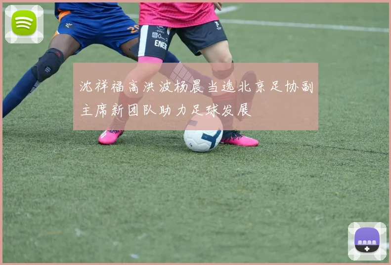 沈祥福高洪波杨晨当选北京足协副主席新团队助力足球发展