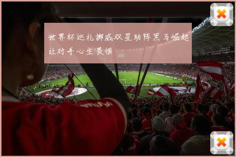 世界杯巡礼挪威双星助阵黑马崛起让对手心生畏惧