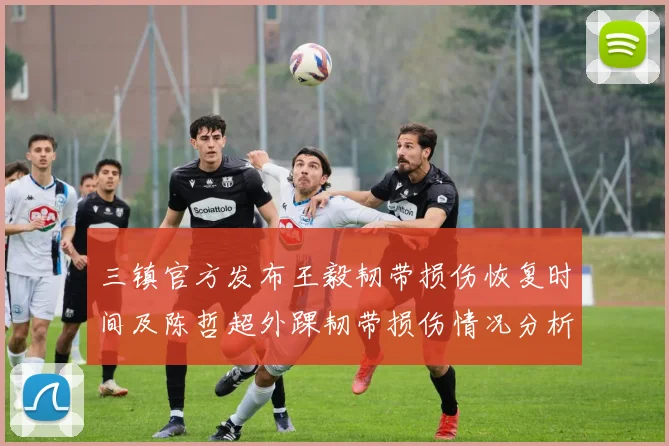 三镇官方发布王毅韧带损伤恢复时间及陈哲超外踝韧带损伤情况分析